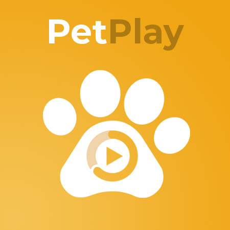 PetPlay App